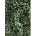 Green Marine Algae Food (листы водорослей нори поштучно)