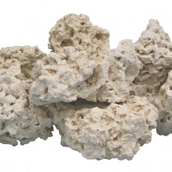 Сухой рифовый натуральный камень