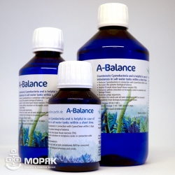 Korallen-Zucht A-Balance (против цианобактерии)